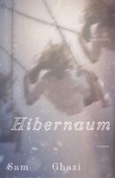Hibernaum - roman