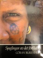 Speglingar av det f&ouml;rflutna 