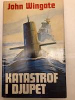 Katastrof i djupet