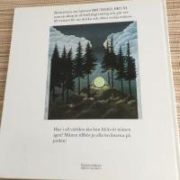 Brummel Brum och Silverm&aring;ne