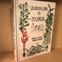 Sj&auml;lvhush&aring;llning p&aring; Djupadal