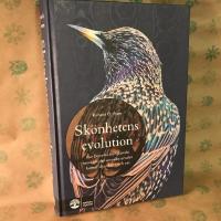 Sk&ouml;nhetens evolution : hur Darwins bortgl&ouml;mda teori om det sexuella urvalet formar djurriket - och oss