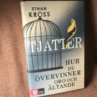 Tjatter : hur du &ouml;vervinner oro och &auml;ltande