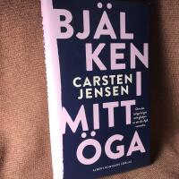 Bj&auml;lken i mitt &ouml;ga