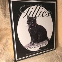 Tillies ber&auml;ttelse