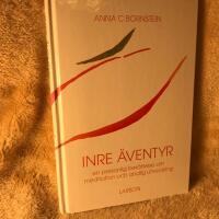 Inre &auml;ventyr : en personlig ber&auml;ttelse om meditation och andlig utveckling