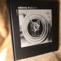 Djur i krigets &ouml;ga : om djur och soldater i f&ouml;rsta v&auml;rldskriget