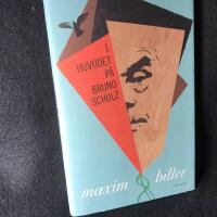 I huvudet p&aring; Bruno Schulz