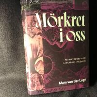 M&ouml;rkret i oss : Pessismens och lidandets filosofi