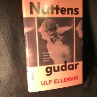 Nattens gudar : Den kemiska s&ouml;mnen och vakenhetens dilemma