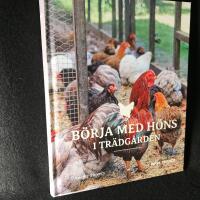 B&ouml;rja med h&ouml;ns i tr&auml;dg&aring;rden