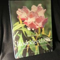 Rododendron : arter, hybrider, samplanteringsv&auml;xter och sk&ouml;tselr&aring;d