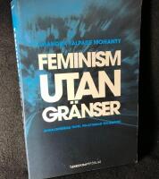 Feminism utan gr&auml;nser : avkoloniserad teori, praktiserad solidaritet