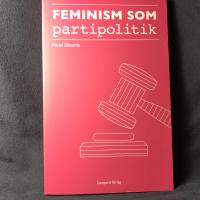 Feminism som partipolitik : Feministiskt initiativ i Simrishamn 2010-2014