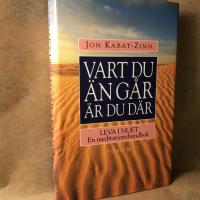 Vart du &auml;n g&aring;r &auml;r du d&auml;r. Leva i nuet. En meditationshandbok. 