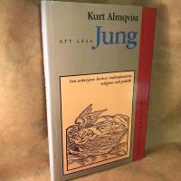 Att l&auml;sa Jung : Om arketyper, kultur, individuation, religion och politik