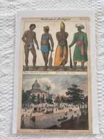"Indischer Archipel. Taf 25"