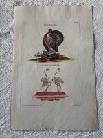 "Turkey.Tab III"