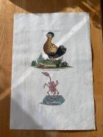 "Cockerel. Tab L"