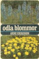 Odla blommor