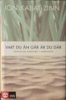 Vart du &auml;n g&aring;r &auml;r du d&auml;r : medveten n&auml;rvaro i vardagen