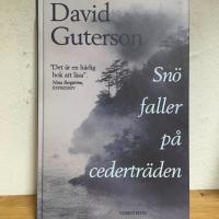 Sn&ouml; faller p&aring; cedertr&auml;den