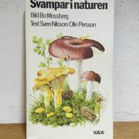 Svampar i naturen