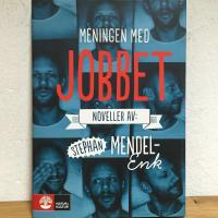 Meningen med jobbet : noveller