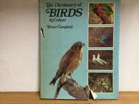 The Dictionary of Birds i Colour