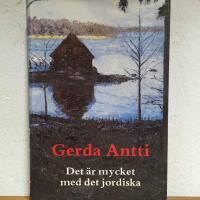 Det &auml;r mycket med det jordiska : roman