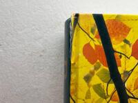 Botanica : illustrerat botaniskt lexikon med &ouml;ver 10000 tr&auml;dg&aring;rdsv&auml;xter inklusive odlingsr&aring;d