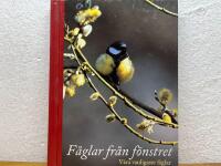 F&aring;glar fr&aring;n f&ouml;nstret : v&aring;ra vanligaste f&aring;glar