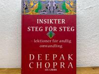 Insikter steg f&ouml;r steg : lektioner f&ouml;r andlig omvandling