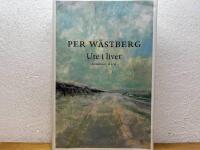 Ute i livet : en memoar (1980-1994)