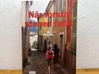 N&auml;r f&ouml;rsta stenen fallit