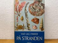 Vad jag finner p&aring; stranden