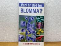 Vad &auml;r det f&ouml;r blomma?