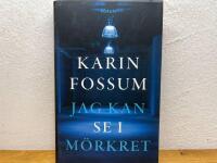 Jag kan se i m&ouml;rkret