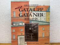Mera gata upp och gata ner : m&auml;nniskor och milj&ouml;er i Stockholm f&ouml;rr och nu