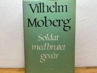 Soldat med brutet gev&auml;r