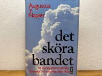 Det sk&ouml;ra bandet : p&aring; spaning efter ett j&auml;mlikt, f&ouml;rtroligt och varaktigt &auml;ktenskap