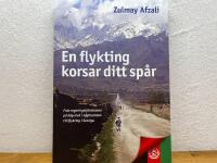 En flykting korsar ditt sp&aring;r : [fr&aring;n regeringstj&auml;nsteman p&aring; h&ouml;g niv&aring; i Afghanistan till flykting i Sverige]