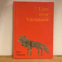 Ljus &ouml;ver V&auml;rmland - en bildningshistoria