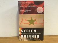 Syrien brinner : hur revolutionen mot Assad blev ett inb&ouml;rdeskrig