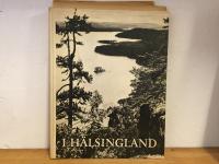 I H&auml;lsingland