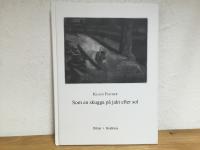 Som en skugga p&aring; jakt efter sol