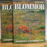 Blommor