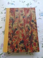 Min resa till Indien 