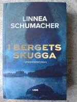 I bergets skugga