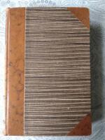 Svenskarna i heden tid/Vikingar i v&auml;sterled